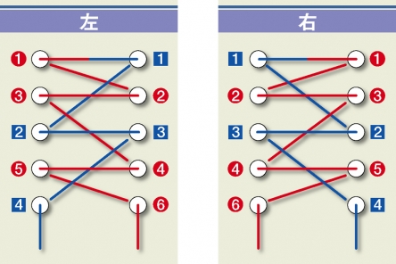 靴紐 パラレル 左右対称